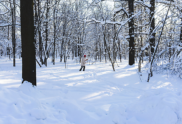 포토 JPG 해외이미지 나무 계절 공원 백그라운드 크리스마스 겨울 자연 하늘 날씨 풍경 사람없음 야외 목재 가로 파란색 빛 햇빛 태양 뷰티 일출 맑음 얼음 일몰 추위 흰색 신선 숲 서리 장면 자작나무 내추럴 눈내림 해외포토 자연요소 식물 공공시설 기념일 컬러 재료 눈_날씨 노을 생태계 파일형식 이미지허브