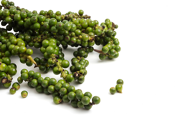 포토 JPG 해외이미지 식물 아시아 음식 백그라운드 농업 채소 재료 건강 요리 씨앗 사람없음 초록색 쌓기 흰색 신선 뜨거움 양념 조미료 맛 작음 낟알 허브 향신료 유기농 매움 알맹이 날것 후추 흙더미 내추럴 해외포토 웰빙 나라 산업 컬러 컨셉 모션 흙 크기 향미료 파일형식 더미 이미지허브