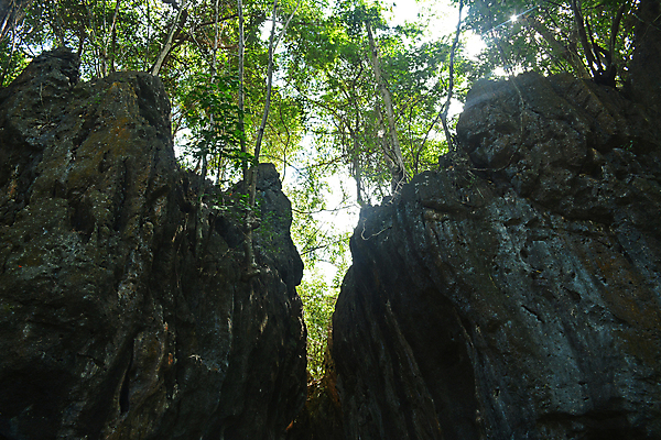 포토 JPG 해외이미지 아시아 여행 자연 사람없음 어둠 젖음 시골 도시 동굴 박쥐 타운 해외포토 나라 포유류 생태계 파일형식 이미지허브