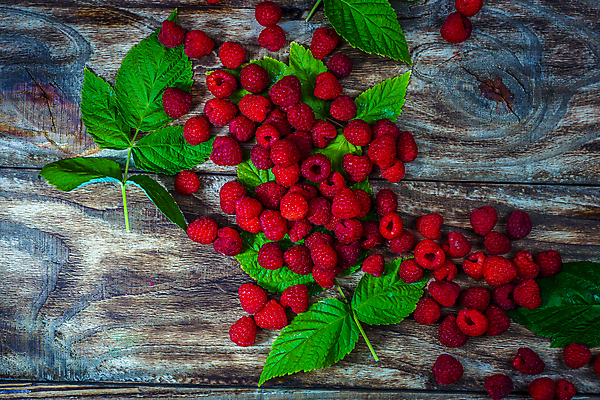 포토 JPG 해외이미지 모양 식물 열매 음식 백그라운드 잎 다이어트 과일 재료 자연 디저트 건강 사람없음 목재 가로 빨간색 초록색 컬러풀 활발 신선 그룹 닫기 달콤 맛 유기농 질감 날것 산딸기 내추럴 숙성 채식주의자 카피스페이스 디톡스 비건 해외포토 나무 웰빙 컬러 컨셉 모션 공백 생태계 채식 파일형식 이미지허브