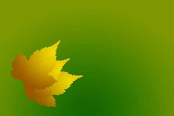 포토 JPG 해외이미지 나무 식물 디자인 계절 공원 백그라운드 컨셉 단풍 잎 패턴 오렌지 일러스트 비즈니스 학교 자연 벽지 추상 사람없음 그래픽 장식 빨간색 초록색 빛 태양 갈색 노란색 환경 맑음 웹 가을 황금 숲 질감 보케 10월 내추럴 블러 엘리먼트 해외일러스트 자연요소 공공시설 교육 컬러 무늬 인터넷 과일 날씨 날짜 생태계 파일형식 이미지허브