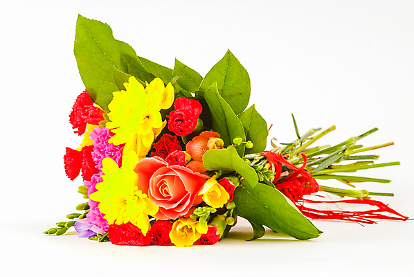 포토 JPG 해외이미지 식물 계절 꽃잎 꽃 백그라운드 꽃무늬 패턴 자연 추상 사랑 사람없음 여름 뷰티 봄 벚꽃 흰색 닫기 묘사 질감 데이지 해외포토 감정 컬러 무늬 모션 생태계 파일형식 이미지허브