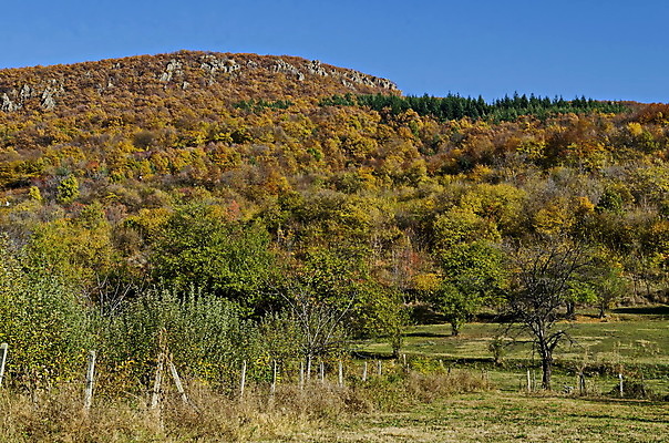 포토 JPG 해외이미지 나무 여행 낙엽 잎 밭 자연 휴식 산 주택 건조 건강 파노라마 사람없음 야외 빨간색 초록색 컬러풀 갈색 노란색 여행객 마을 놀람 산책 하이킹 안개 가을 나뭇가지 숲 언덕 불가리아 해외포토 식물 계절 감정 컬러 컨셉 농업 레저 날씨 촬영기법 표정 사람 건물 생태계 파일형식 남유럽 이미지허브