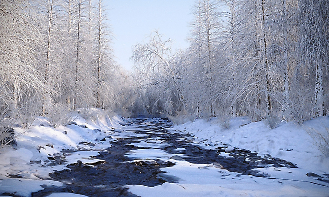 포토 JPG 해외이미지 나무 계절 공원 호수 여행 백그라운드 겨울 자연 하늘 날씨 산 사람없음 야외 목재 물 파란색 강 뷰티 반사 평화 일출 일몰 추위 안개 흰색 소나무 황무지 저녁 숲 빙하 서리 장면 폭설 눈내림 해외포토 자연요소 식물 공공시설 컬러 컨셉 재료 눈_날씨 노을 야간 자연재해 생태계 파일형식 이미지허브