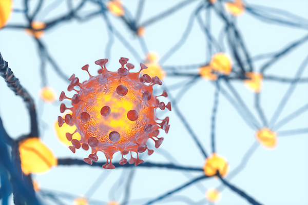 JPG 해외이미지 하늘색 의학 세포 사람없음 3D 바이러스 신경세포 전염병 코로나바이러스 델타변이바이러스 오미크론 해외포토 포토 파란색 질병 디지털합성 파일형식 이미지허브