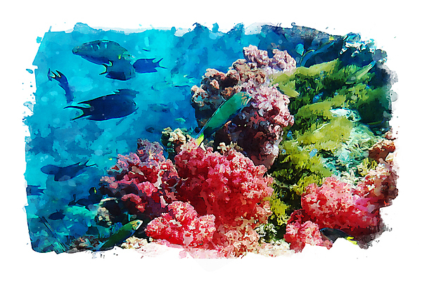 포토 JPG 해외이미지 동물 바다 일러스트 자연 수채화 사람없음 그림 섞기 해외일러스트 생태계 파일형식 이미지허브