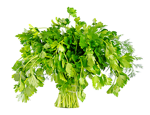 포토 JPG 해외이미지 나무 식물 음식 잎 농업 재료 파슬리 건강 요리 사람없음 초록색 쌓기 흰색 신선 조미료 그룹 다발 허브 보따리 유기농 날것 향료 흙더미 내추럴 강렬 고립 딜 채식주의자 해외포토 웰빙 산업 컬러 채소 모션 흙 채식 향기 냄새 향미료 파일형식 더미 이미지허브