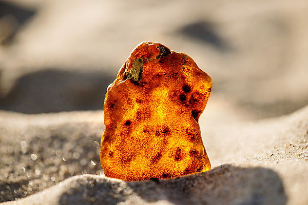 포토 JPG 해외이미지 자연 사람없음 빛 주황색 투명 보석 화석 앰버 해외포토 컬러 광석 생태계 파일형식 이미지허브