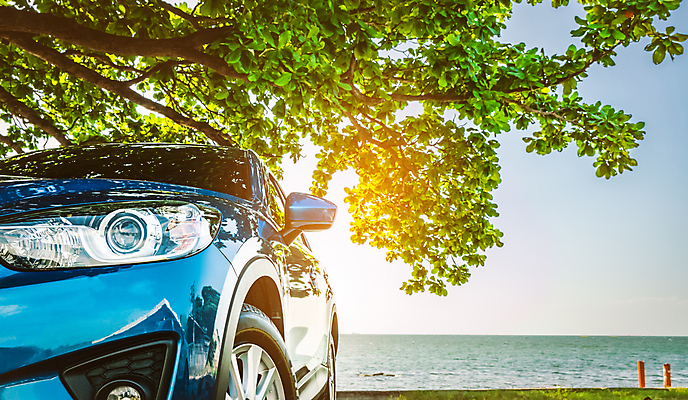 포토 JPG 해외이미지 나무 도로 스포츠 바다 여행 백그라운드 잎 교통시설 자동차 자연 하늘 휴가 거리 사람없음 야외 빨간색 초록색 파란색 빛 정원 운전 나뭇가지 시골 고급 숲 주차 봉 잡종 대여 자동 해외포토 식물 길 육상교통 컬러 교통 컨셉 모션 시설 생태계 파일형식 이미지허브