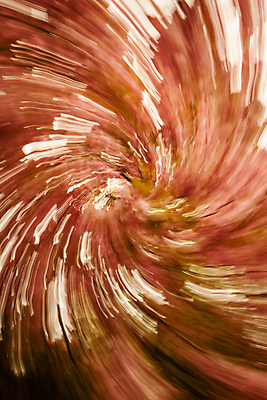 포토 JPG 해외이미지 모양 디자인 백그라운드 컨셉 무지개 패턴 일러스트 추상 나선형 종류 창조 미술 사람없음 야외 그래픽 빛 컬러풀 페인트 봄 활발 소용돌이 원형 혼합 소프트포커스 묘사 그림 질감 색동 강렬 블러 섞기 스타일 효과 해외일러스트 자연요소 도형 계절 컬러 무늬 문화예술 촬영기법 회오리 파일형식 이미지허브