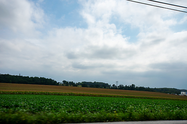 포토 JPG 해외이미지 구름 도로 여행 백그라운드 밭 교통시설 모션 자연 하늘 날씨 추상 휴가 해바라기 파노라마 사람없음 가로 초록색 파란색 빛 컬러풀 태양 노란색 운전 자유 오픈 고속도로 소프트포커스 아스팔트 속도 장노출 루트 방법 블러 철책 수평선 해외포토 자연요소 꽃 길 컬러 교통 컨셉 무늬 농업 촬영기법 시설 생태계 파일형식 이미지허브