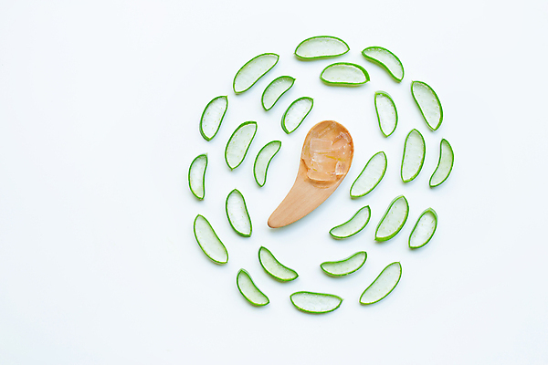 포토 JPG 해외이미지 스튜디오촬영 단면 실내 사람없음 하이앵글 뷰티 흰배경 알로에 플랫레이 해외포토 식물 뷰포인트 백그라운드 내부 흰색 플랫 파일형식 이미지허브