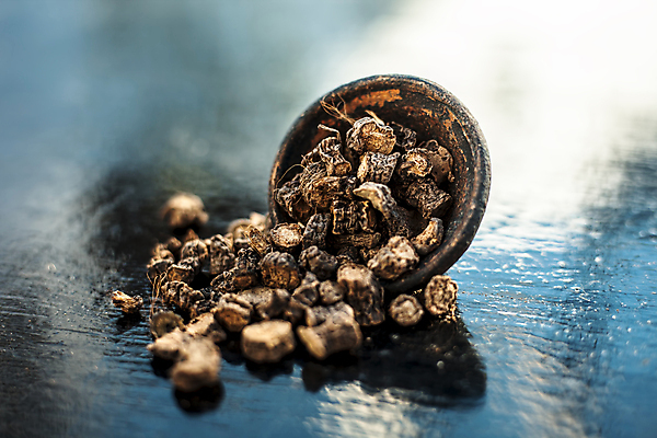 포토 JPG 해외이미지 여자 건강 사람없음 치료 초록색 약 흰색 사발 약초 가루 인도인 허브 유기농 뿌리 거미 점토 시스템 고립 에이즈 치유 카운트 해외포토 외국인 식물 웰빙 컬러 곤충 의학 사람 동양인 풀_식물 사기그릇 질병 파일형식 이미지허브