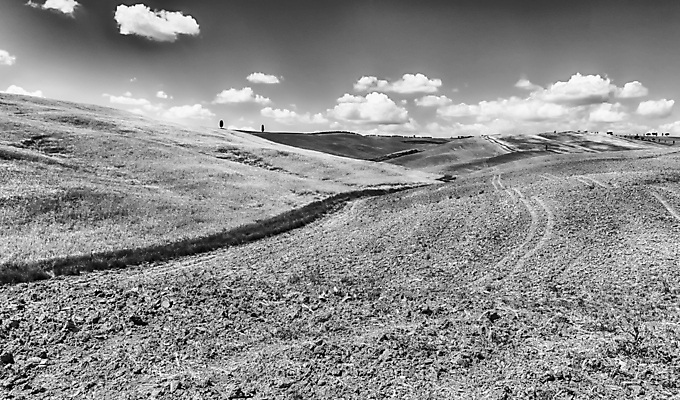 포토 JPG 해외이미지 나무 유럽 도로 여행 밭 농업 자연 건조 풍경 사람없음 야외 초록색 여름 농장 농경지 이탈리아 시골 땅 밀 언덕 장면 토스카나 해외포토 식물 계절 나라 산업 길 컬러 교통시설 곡류 생태계 파일형식 이미지허브