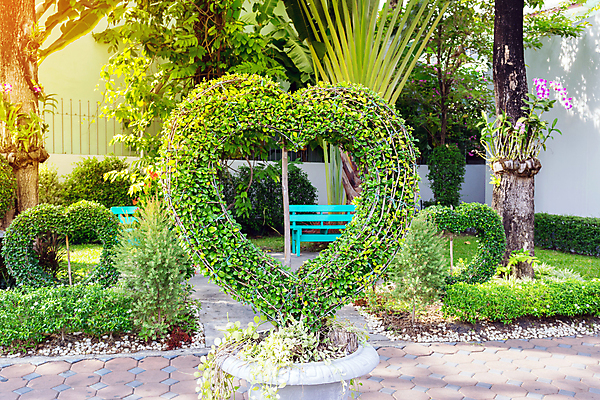 포토 JPG 해외이미지 모양 나무 식물 계절 공원 행복 백그라운드 컨셉 잎 꽃무늬 밭 자연 추상 발렌타인데이 건강 사랑 사람없음 야외 목재 초록색 뷰티 환경 정원 하트 심볼 에코 생태계 내추럴 생태학 해외포토 공공시설 교육 꽃 감정 컬러 무늬 농업 재료 데이이벤트 파일형식 이미지허브