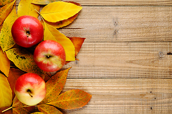 포토 JPG 해외이미지 음식 잎 과일 자연 건강 사람없음 목재 가로 빨간색 노란색 활발 수확 시골 신선 맛 널 사과 질감 내추럴 강렬 숙성 카피스페이스 해외포토 나무 식물 컬러 컨셉 농업 재료 공백 생태계 파일형식 이미지허브