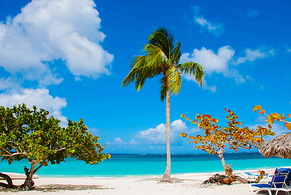 포토 JPG 해외이미지 디자인 모래 바다 섬 여행 백그라운드 자연 하늘 호텔 휴가 휴식 열대 사람 사람없음 물 파란색 모래사장 햇빛 평화 맑음 침묵 흰색 뜨거움 휴게실 탈출 휴양지 쿠바 도피 터키석 파라다이스 해외포토 자연요소 컬러 컨셉 숙소 날씨 태양 소리 장소 중앙아메리카 보석 생태계 파일형식 이미지허브