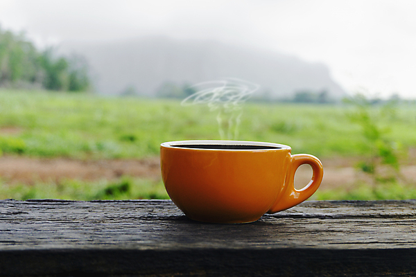 포토 JPG 해외이미지 나무 커피 음료 음식 백그라운드 밭 농업 비즈니스 자연 탁자 아침 휴식 산 따뜻함 미술 풍경 사람없음 야외 목재 컵 초록색 여름 햇빛 태양 농장 갈색 우주 일출 검은색 봄 카페 머그컵 수확 흰색 신선 뜨거움 도자기 차 아침식사 수증기 아로마 카푸치노 에스프레소 내추럴 단절 라떼 카페인 해외포토 주간 자연요소 식물 식기 계절 산업 컬러 가구 컨셉 재료 문화예술 노을 상점 식사 생태계 파일형식 이미지허브