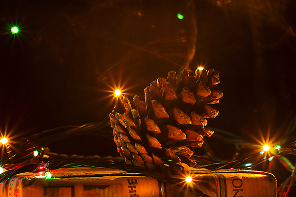 포토 JPG 해외이미지 전통 종이 컨셉 크리스마스장식 크리스마스 겨울 공 휴가 새로움 새해 기념 선물 사람없음 목재 장식 빨간색 초록색 파란색 빛 상자 컬러풀 산타클로스 노란색 축제 화환 안개 축하 소나무 황금 연도 파인애플 블러 취급주의 클라우스 해외포토 나무 계절 기념일 꽃 컬러 과일 재료 날씨 경고 열대과일 파일형식 이미지허브