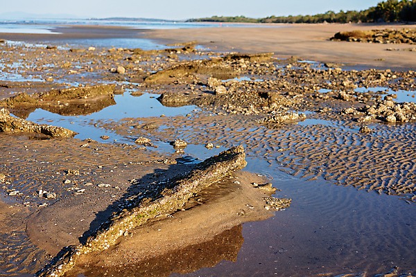 포토 JPG 해외이미지 모래 바다 조류 거리 바닥 수영장 갑각류 그림자 어류 해변 사람없음 야외 물 모래사장 햇빛 태양 반사 평화 환경 맑음 침묵 껍질 굴 투명 호주 에코 질감 암초 시스템 잔물결 채널 해일 수평선 해외포토 자연요소 동물 물결 컨셉 날씨 어패류 수중동물 소리 오세아니아 자연재해 파일형식 이미지허브