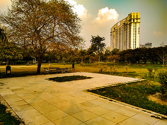 포토 JPG 해외이미지 나무 식물 계절 공원 꽃 장갑 백그라운드 잎 꽃무늬 농업 자연 주택 풍경 잔디 취미 사람없음 야외 초록색 여름 세트 햇빛 농장 환경 정원 맑음 흙 봄 성장 도구 침대 신선 업무 냄비 삽 유기농 원예 먼지 내추럴 돌봄 땅바닥 원예사 해외포토 직업 웰빙 잡화 공공시설 산업 컬러 가구 무늬 모션 날씨 바닥 건물 태양 작업 솥 생태계 파일형식 이미지허브