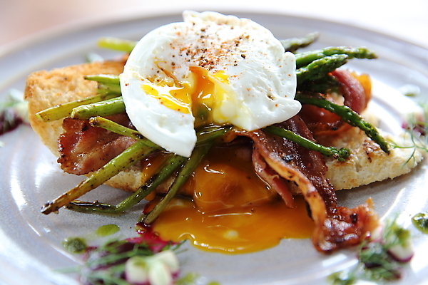 포토 JPG 해외이미지 접시 빵 실내 근접촬영 사람없음 흐름 아침식사 소프트포커스 베이컨 노른자 미국음식 수란 에그베네딕트 해외포토 식기 음식 뷰포인트 컨셉 서양음식 촬영기법 샌드위치 돼지고기 내부 계란 식사 파일형식 이미지허브