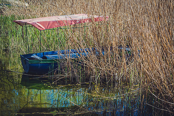 포토 JPG 해외이미지 식물 공원 호수 백그라운드 자연 표면 휴가 사람없음 야외 목재 물 파란색 빛 컬러풀 반사 맑음 침묵 성장 시골 만 보트 분위기 가장자리 닫기 함선 가림막 마케도니아 해외포토 자연요소 나무 공공시설 컬러 컨셉 배_교통 재료 모션 날씨 소리 둘레 생태계 파일형식 남유럽 이미지허브
