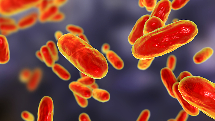 포토 JPG 해외이미지 과학 일러스트 건강 사람없음 약 3D 고통 질병 감염 전염 미생물 박테리아 기침 백신 해외일러스트 감정 의학 생물 디지털합성 파일형식 이미지허브