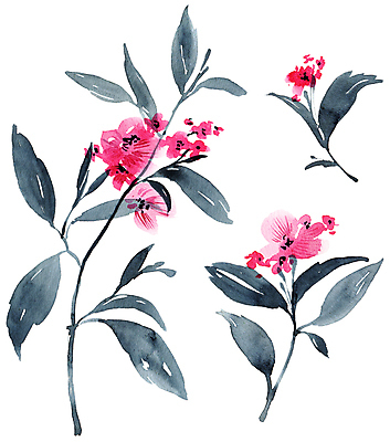 JPG 해외이미지 식물 꽃 일러스트 붓터치 동양인 사람없음 뷰티 그림 번짐 해외일러스트 인종 파일형식 효과 이미지허브