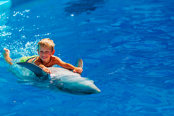 포토 JPG 해외이미지 동물 백인 행복 야생동물 어린이 바다 장난 통신 포유류 포옹 자연 놀이 휴가 휴식 함께함 건강 어류 한명 미소 사람 소년 치료 물 여름 파란색 수영 기쁨 터치 고래 돌고래 다이빙 꼬리 테라피 해외포토 자연요소 서양인 1 계절 남자 감정 컬러 컨셉 의학 안기 표정 뷰티 수중동물 수상스포츠 생태계 수중스포츠 파일형식 이미지허브