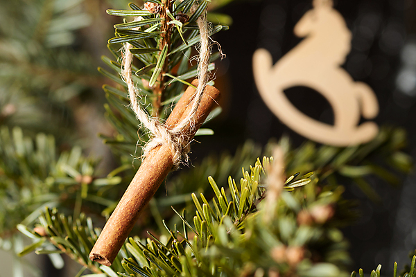 포토 JPG 해외이미지 나무 라이프스타일 행복 백그라운드 컨셉 크리스마스 자연 휴가 새로움 사람없음 목재 장식 재활용 금지 나뭇가지 축하 인사 신용카드 막대기 플라스틱 연도 에코 유기농 생태계 전나무 DIY 낭비 내추럴 영 무료 시나몬 핸드메이드 가문비나무 해외포토 식물 웰빙 기념일 감정 재료 재질 취미 생활 금융 숫자 환경 예절 친환경 파일형식 이미지허브