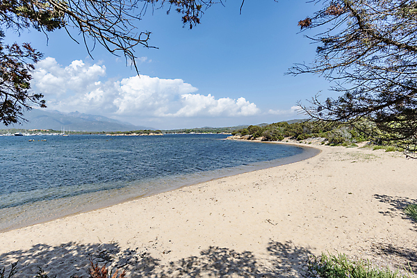 포토 JPG 해외이미지 유럽 모래 바다 섬 여행 자연 휴가 파노라마 풍경 사람없음 야외 물 여름 파란색 관광지 태양 뷰티 환경 프랑스 점 지중해 즐거움 엽서 내추럴 코르시카 파라다이스 카피스페이스 해외포토 자연요소 계절 감정 나라 컬러 촬영기법 공백 편지 생태계 파일형식 이미지허브
