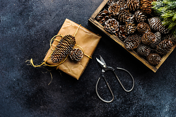 포토 JPG 해외이미지 나무 백그라운드 크리스마스 겨울 휴가 프레임 흑백 종류 사람없음 상자 축제 바위 시골 상록수 원뿔 카피스페이스 해외포토 도형 식물 계절 기념일 촬영기법 공백 돌_바위 파일형식 이미지허브