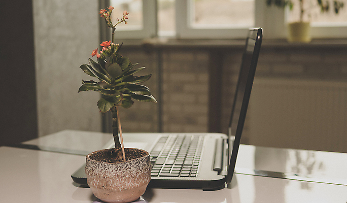 포토 JPG 해외이미지 백인 직업 학생 라이프스타일 여자 교육 남자 행복 종이 어린이 거실 인터넷 비즈니스 학교 가정 청소년 아파트 주택 실내 한명 사람 앉기 성인 사람없음 10대 책 가로 노트북 스마트폰 스터디 컴퓨터 사무실 독서 주방 자료 방 시험 기록 업무 작업 기술자 연결 사이버 무선전화기 책상 분석 명상 교과서 준비 대학교 온라인 소셜미디어 온라인강의 해외포토 서양인 1 감정 가구 컨셉 모션 교재 내부 건물 생활 전자제품 핸드폰 스마트기기 학습 강의 전화기 파일형식 언택트 이미지허브