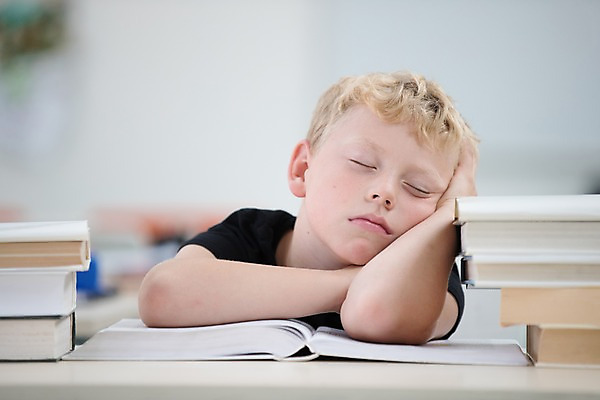포토 JPG 서양인 외국인 남자 어린이 엎드리기 교실 학교 실내 피곤 한명 사람 상반신 앞모습 10대 책 스쿨라이프 눈감음 기댐 잠 지루함 책상 체코 소년한명만 국내포토 1 라이프스타일 교육 감정 유럽 뷰포인트 가구 컨셉 모션 청소년 인종 내부 남자한명만 소년만 파일형식