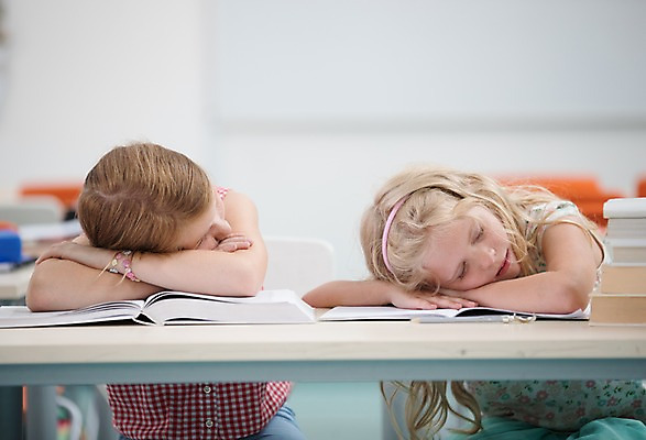포토 JPG 서양인 외국인 여자 어린이 엎드리기 교실 학교 실내 피곤 사람 앉기 상반신 두명 앞모습 10대 스쿨라이프 눈감음 잠 체코 여자만 소녀만 국내포토 라이프스타일 교육 유럽 뷰포인트 컨셉 모션 청소년 인종 내부 어린이만 파일형식