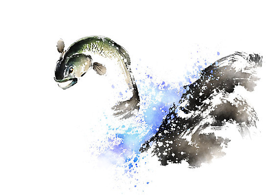 PSD 한마리 일러스트 캘리그라피 붓터치 어류 사람없음 파란색 점프 수영 바위 물보라 번짐 국내일러스트 1 컬러 모션 물 수중동물 돌_바위 수상스포츠 파일형식 효과