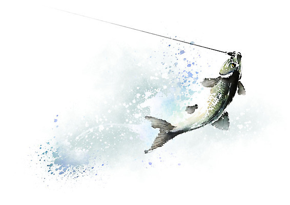 PSD 한마리 일러스트 캘리그라피 붓터치 낚시 흑백 어류 사람없음 파란색 점프 검은색 물보라 번짐 국내일러스트 1 컬러 모션 레저 촬영기법 물 수중동물 파일형식 효과