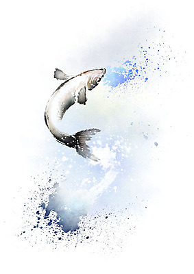 PSD 한마리 일러스트 캘리그라피 붓터치 흑백 어류 사람없음 파란색 점프 검은색 물보라 번짐 국내일러스트 1 컬러 모션 촬영기법 물 수중동물 파일형식 효과