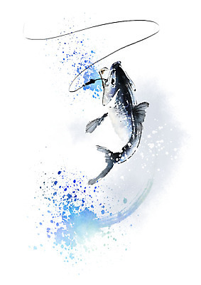 PSD 한마리 일러스트 캘리그라피 붓터치 낚시 어류 사람없음 파란색 점프 검은색 물보라 번짐 국내일러스트 1 컬러 모션 레저 물 수중동물 파일형식 효과