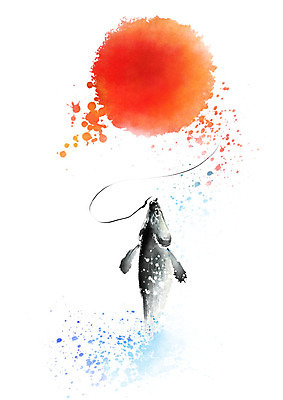 PSD 한마리 일러스트 캘리그라피 붓터치 어류 사람없음 빨간색 파란색 태양 점프 낚싯대 물보라 번짐 국내일러스트 자연요소 1 컬러 모션 물 수중동물 낚시용품 파일형식 효과