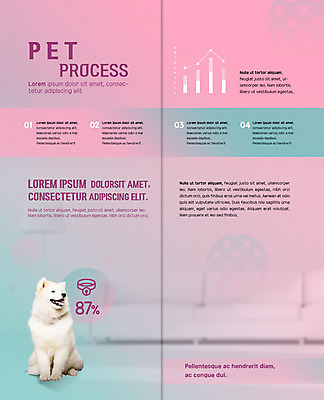 PSD 템플릿 한마리 표지디자인 북디자인 출판디자인 행복 내지 반려견 리플렛 분홍색 거실 2단접지 북커버 그래프 팜플렛 사람없음 반려동물 소파 강아지 보호 사모예드 목줄 반려 펫케어 이미지템플릿 동물 1 감정 컬러 컨셉 의자 관리 개 파일형식 반려용품