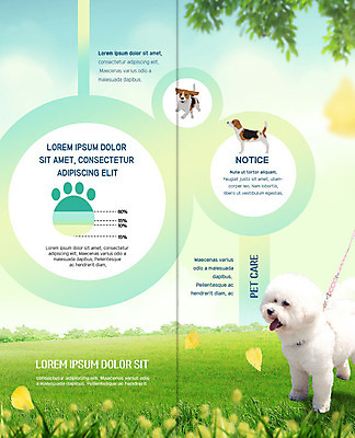 PSD 템플릿 표지디자인 북디자인 출판디자인 꽃 행복 내지 반려견 리플렛 2단접지 북커버 그래프 세마리 팜플렛 잔디 초원 사람없음 초록색 반려동물 산책 나뭇가지 강아지 보호 비글 목줄 반려 펫케어 비숑프리제 이미지템플릿 나무 식물 동물 감정 컬러 컨셉 휴식 관리 3 개 파일형식 반려용품