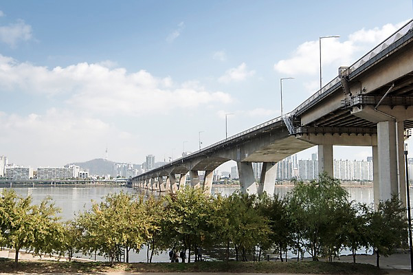 포토 JPG 주간 나무 구름 하늘 서울 한국 사람없음 야외 도시풍경 도시 강가 한강 원효대교 국내포토 자연요소 식물 아시아 풍경 강 다리_건축물 랜드마크 파일형식
