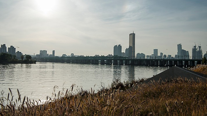 포토 JPG 주간 구름 하늘 서울 한국 사람없음 야외 도시풍경 도시 강가 한강 강아지풀 63빌딩 한강철교 국내포토 자연요소 식물 아시아 풍경 빌딩 강 다리_건축물 랜드마크 한해살이풀 파일형식