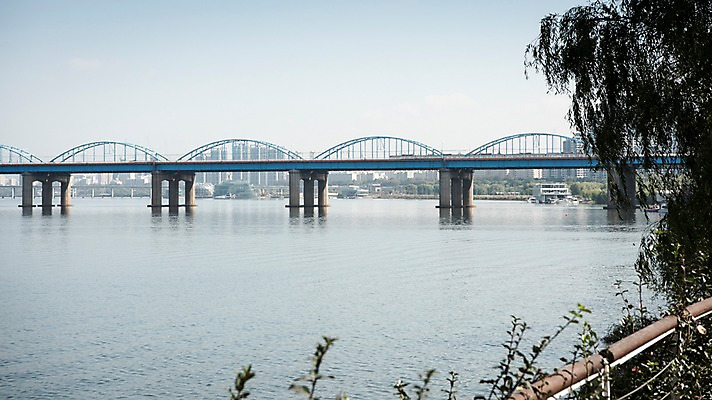 포토 JPG 주간 나무 하늘 서울 한국 사람없음 야외 도시풍경 도시 강가 한강 동작대교 국내포토 자연요소 식물 아시아 풍경 강 다리_건축물 랜드마크 파일형식