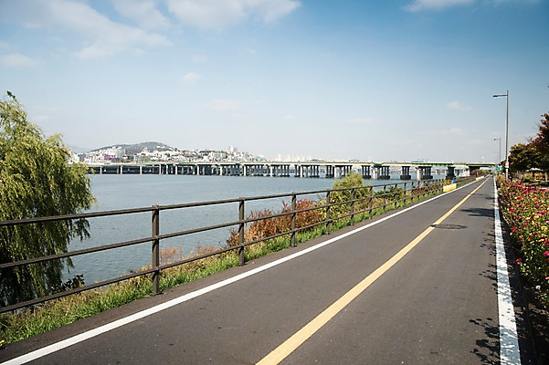 포토 JPG 주간 나무 구름 꽃 도로 하늘 서울 한국 사람없음 야외 도시풍경 도시 강가 한강 한남대교 국내포토 자연요소 식물 아시아 길 교통시설 풍경 강 다리_건축물 랜드마크 파일형식