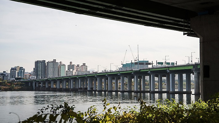 포토 JPG 주간 식물 하늘 서울 한국 사람없음 야외 도시풍경 도시 강가 한강 한남대교 국내포토 자연요소 아시아 풍경 강 다리_건축물 랜드마크 파일형식