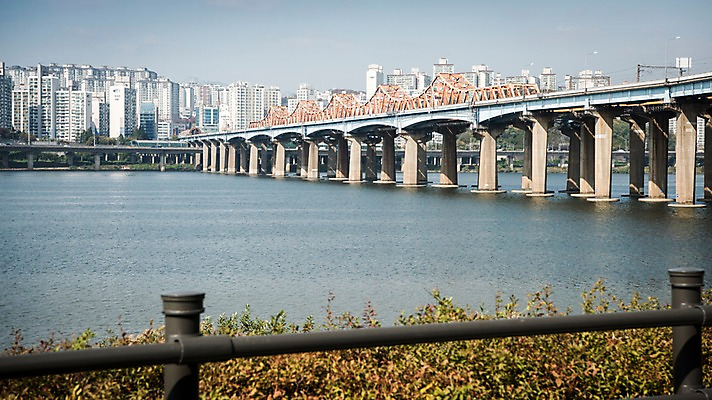 포토 JPG 주간 식물 하늘 서울 한국 빌딩 사람없음 야외 도시풍경 도시 강가 한강 동호대교 국내포토 자연요소 아시아 풍경 건물 강 다리_건축물 랜드마크 파일형식