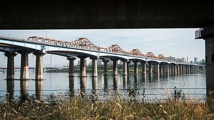 포토 JPG 주간 식물 서울 한국 사람없음 야외 도시풍경 도시 강가 한강 다리밑 동호대교 국내포토 자연요소 아시아 풍경 강 다리_건축물 아래 랜드마크 파일형식